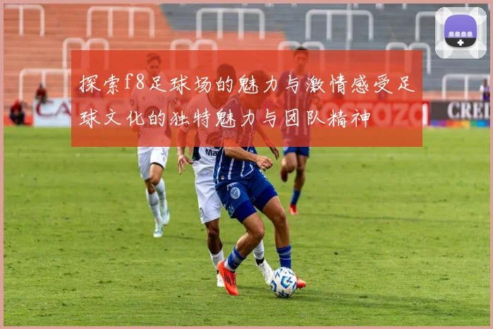 探索f8足球场的魅力与激情感受足球文化的独特魅力与团队精神