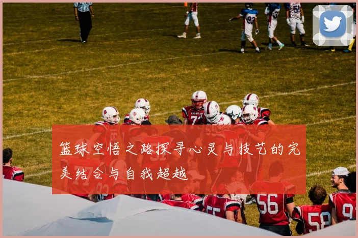 篮球空悟之路探寻心灵与技艺的完美结合与自我超越